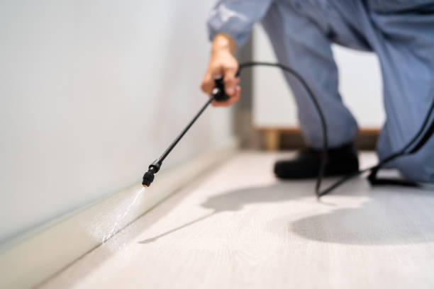 Licensed Rodent Control service in St. Vincent College, PA - Nex Pest Control