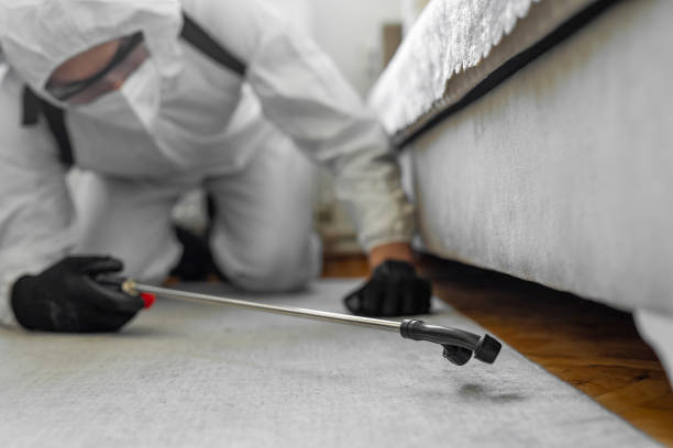 Professional Rodent Control technician working in St. Vincent College, PA