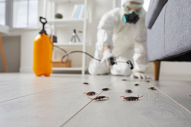 Trusted Rodent Control service in St. Vincent College, PA - Nex Pest Control