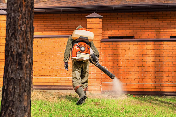 Trusted Bed Bug Control service in St. Vincent College, PA - Nex Pest Control